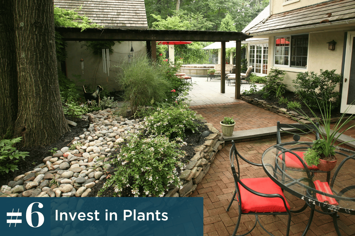 Invest in Plants (Option 1, TB Portfolio)