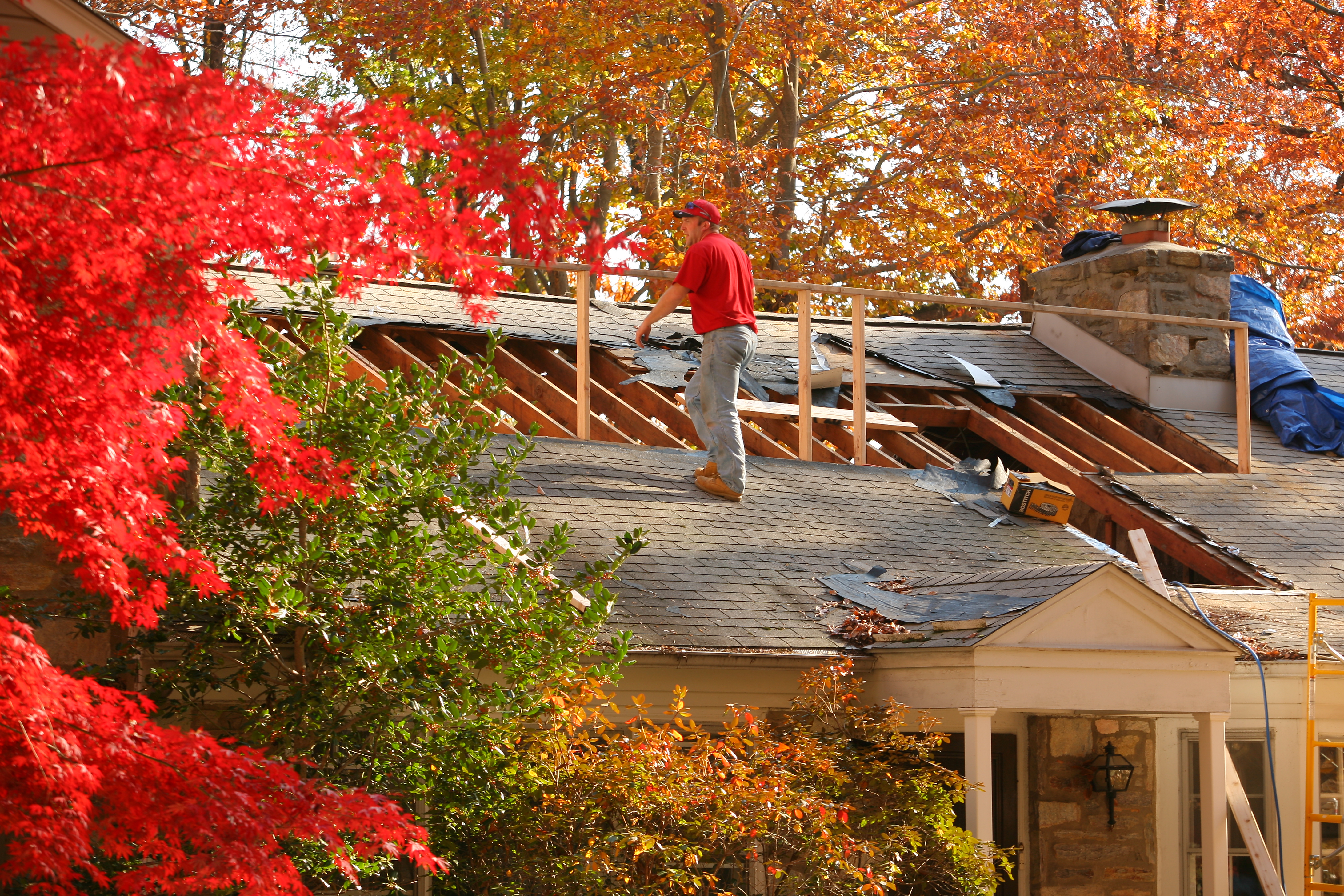 8 Fall Home Improvement Ideas to Bring in the New Season